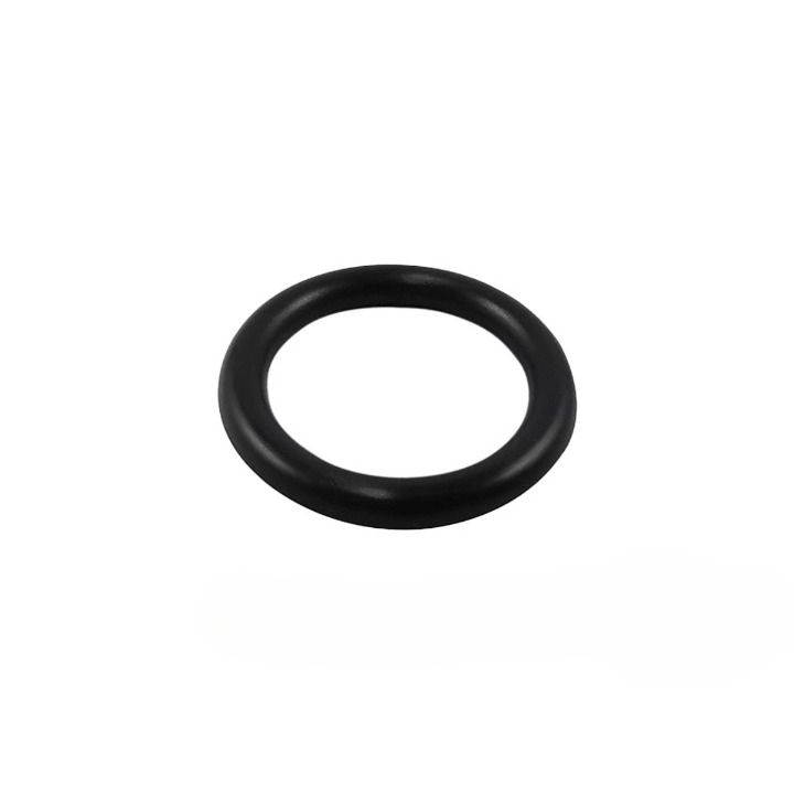 Airsportinggoods SRC SRCAPA-A10 FILL VALVE O-RING ONLY