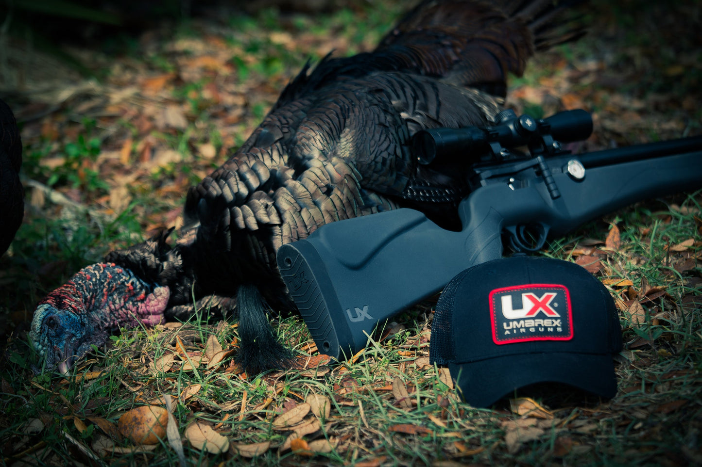 Umarex USA Umarex Origin .25 Caliber PCP Air Rifle